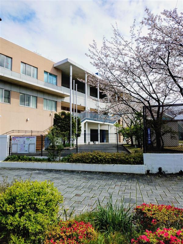 4月の桜